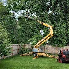 Best Arborist Consultation Services  in Dellwood, MO