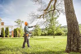 Best Root Management and Removal  in Dellwood, MO